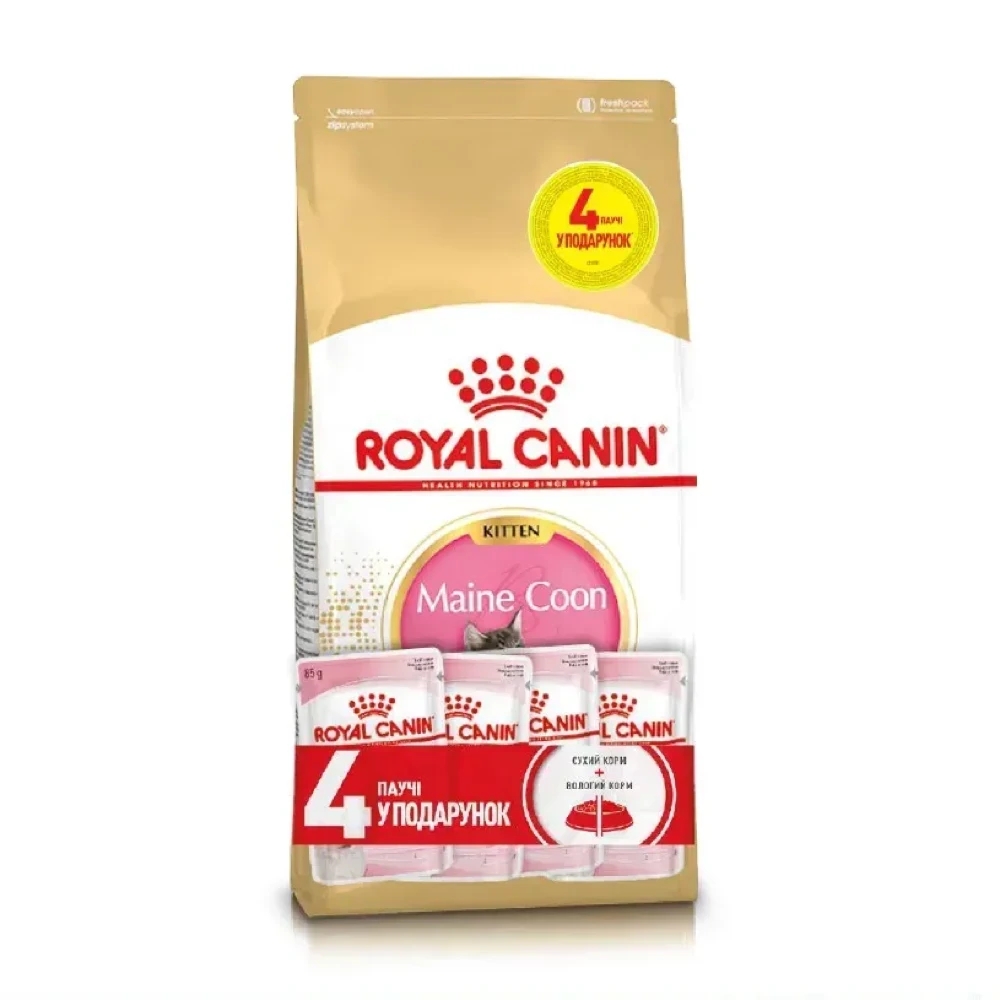 Набір сухого та вологого корму Royal Canin Kitten Maine Coon для кошенят з куркою 2 кг + 4 шт х 85 г